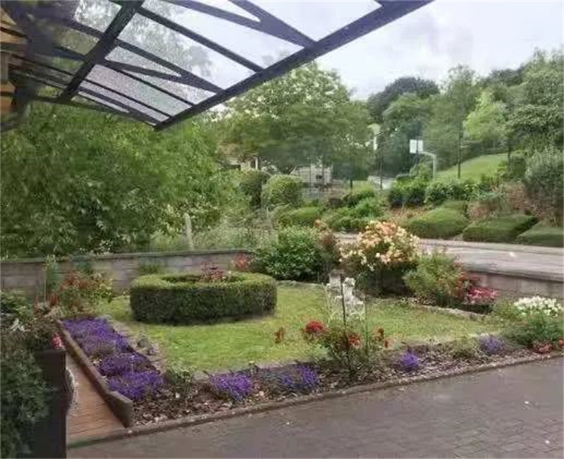 倪夏莲阿姨：花园中的坚持与巴黎奥运征程的传