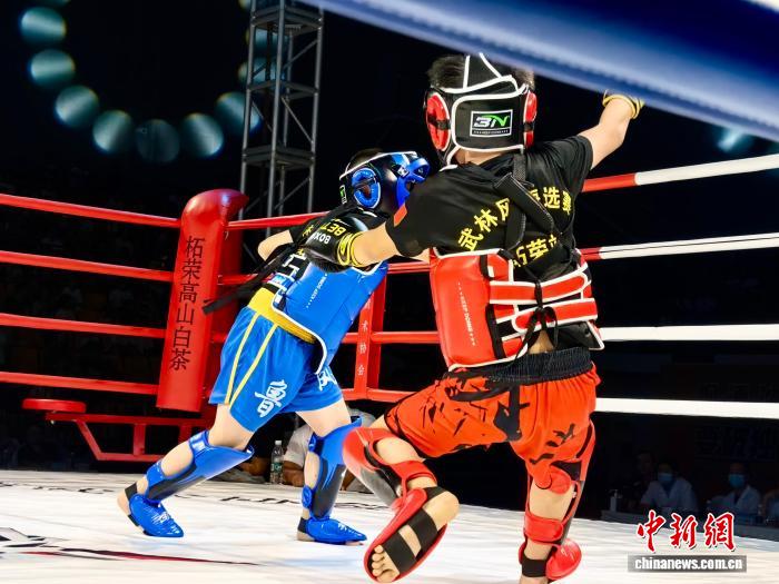 2025“柘荣高山白茶杯”青少年搏击赛圆满落幕