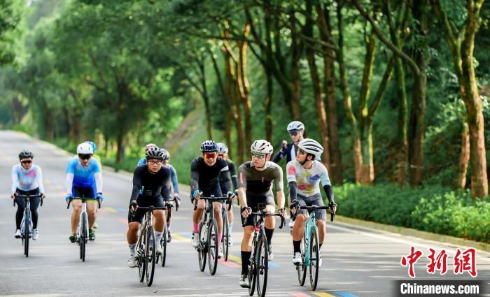 第七届武夷山国际骑游大会在福建南平举行 600余